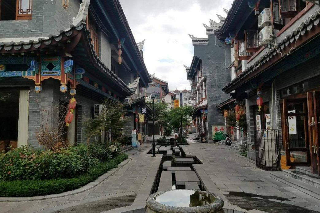 探索ITP诊断标准:准确判定自身免疫疾病的重要依据